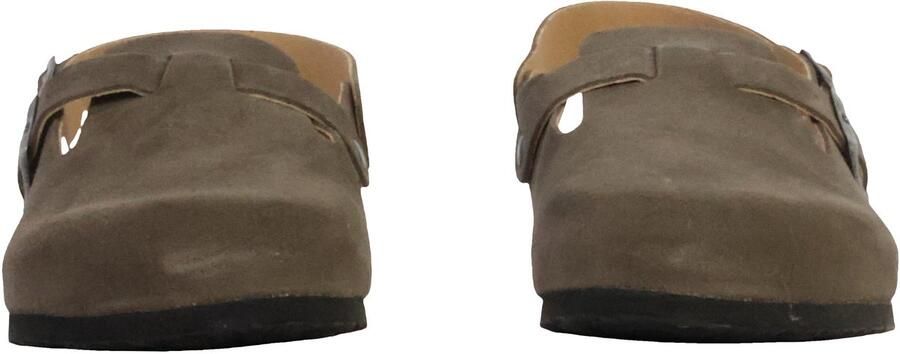 Plakton BlogLeren muiltjes