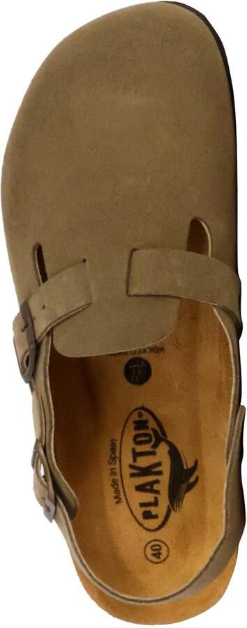 Plakton BlogLeren muiltjes