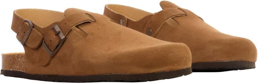 Plakton BlogLeren muiltjes