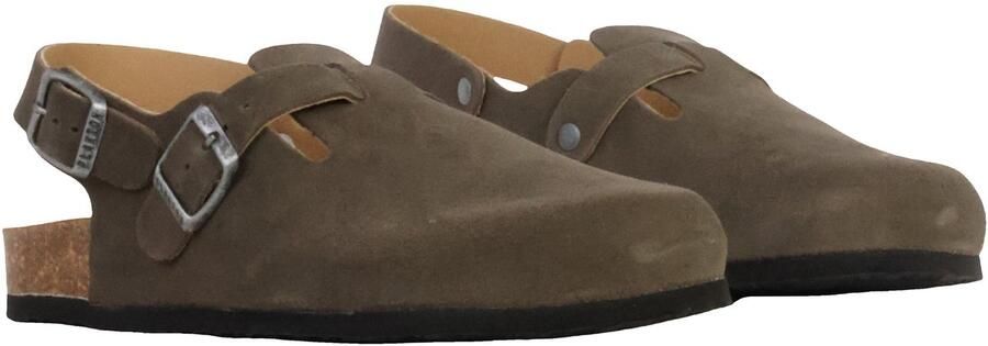 Plakton BlogLeren muiltjes