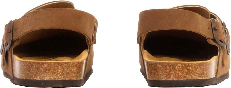 Plakton BlogLeren muiltjes