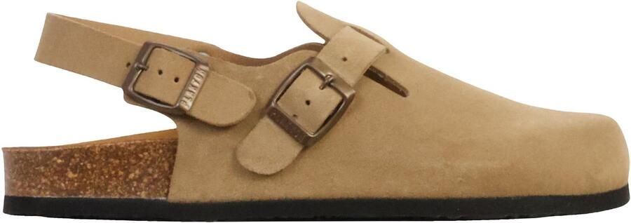 Plakton BlogLeren muiltjes