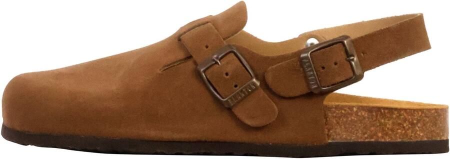 Plakton BlogLeren muiltjes