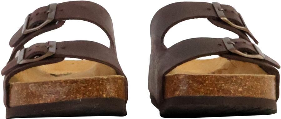 Plakton CP Beta leren muiltjes