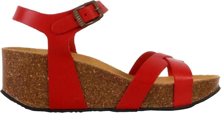 Plakton So Final leren sleehakken