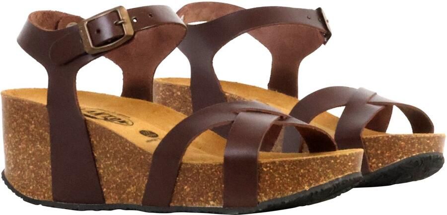 Plakton So Final leren sleehakken