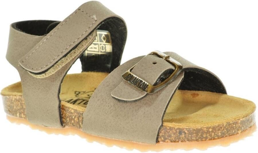 Plakton Taupe Gladlederen Sandaal Velcro En Gesp