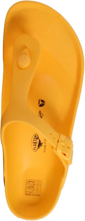 Plakton Wendy muiltjes