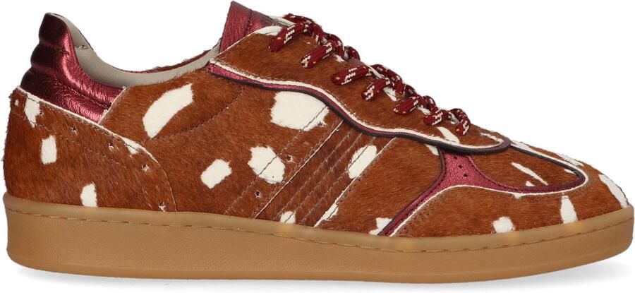 Piedi Nudi Imola Dames Sneakers Ponyhaar Bruin