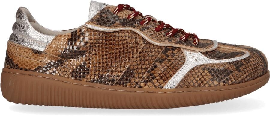 Piedi Nudi Dames Sneakers Leer Bruin
