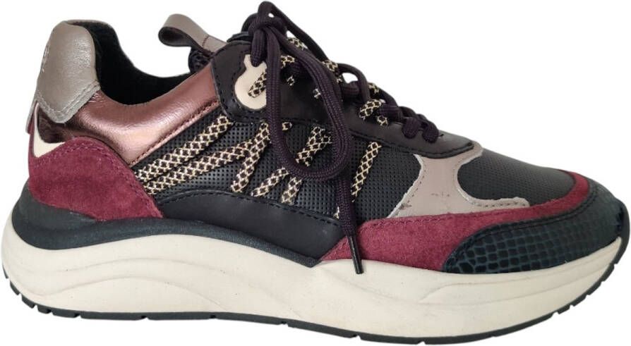 Poelman LPCHARU-38POE Sneaker