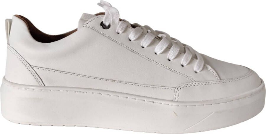 Poelman LPENZO Sneaker