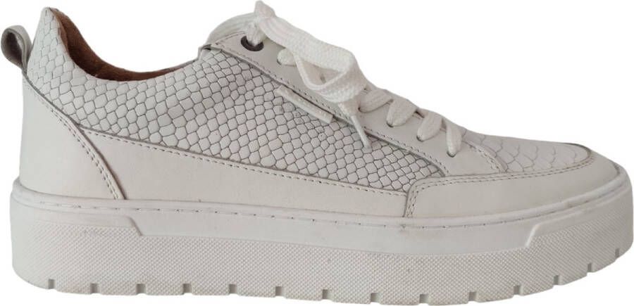 Poelman LPVAR Sneaker