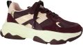 Poelman Sneaker Cgigi Bordeaux - Bordeaux