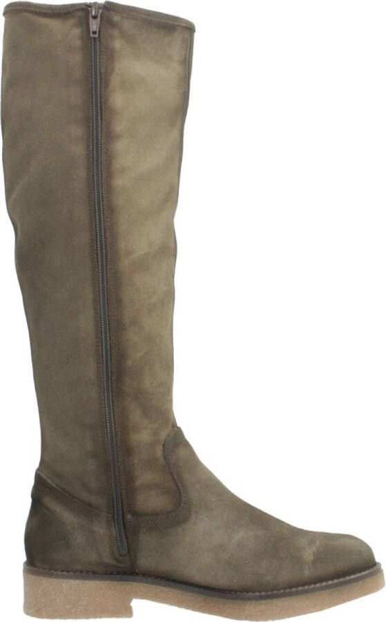 PORRONET BRUJAS 3.5 Bruin
