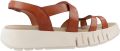 PORRONET 3259P Bruin - Bruin