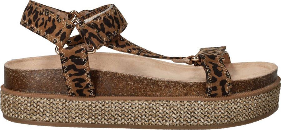 POSH by Poelman Sandalen Dames Bruin