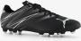 PUMA ATTACANTO FG AG Sportschoenen Black-Silver Mist - Thumbnail 2