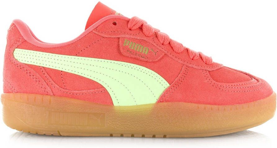 Puma Sneakers Baskets femme Palermo Moda Xtra Gum