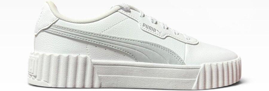 PUMA Carina 3.0 Aqua Metallics Sneakers Dames Wit Grijs Doos Zonder Deksel