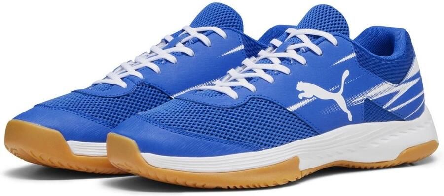 PUMA Indoorschuhe Low Varion II 107341 Team Royal- White-Gum