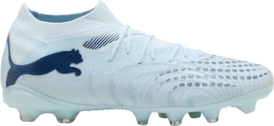 PUMA Schoenen Voetbal Future 9 Match FG AG Blauw