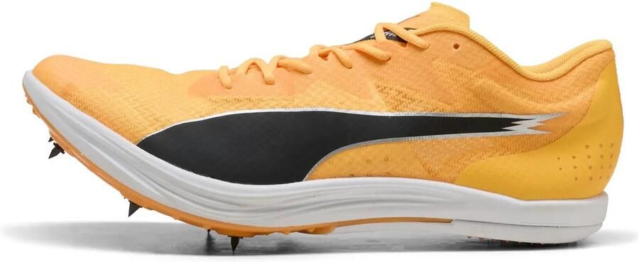PUMA Sportschoenen Evospeed