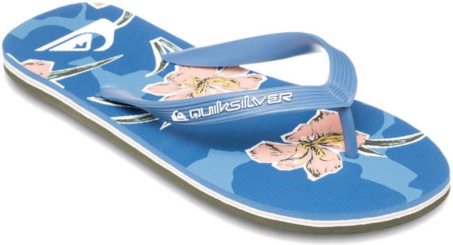 Quiksilver Molokai Art 25 Slippers Blauw Man