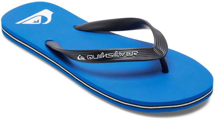 Quiksilver Molokai Core Sandalen Blauw Man