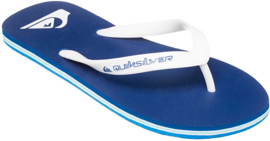 Quiksilver Molokai Core Slippers Blauw Man