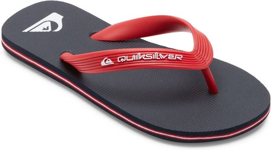 Quiksilver Molokai Core Slippers Grijs