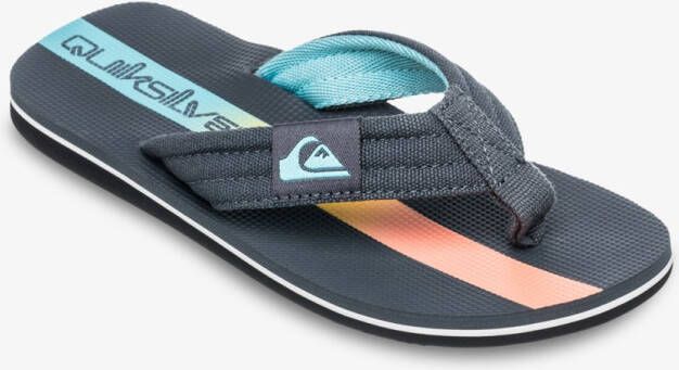 Quiksilver Molokai Layback Ii Slippers Grijs