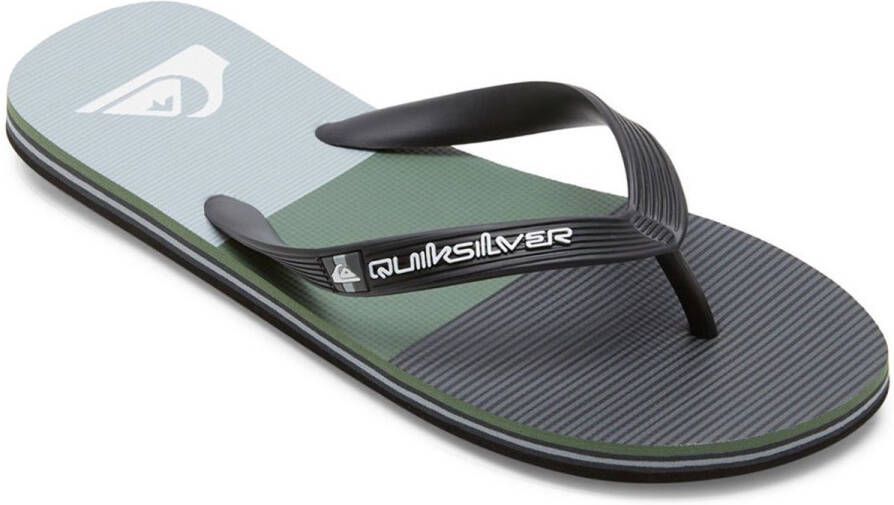 Quiksilver Molokai Stripe Sandalen grijs