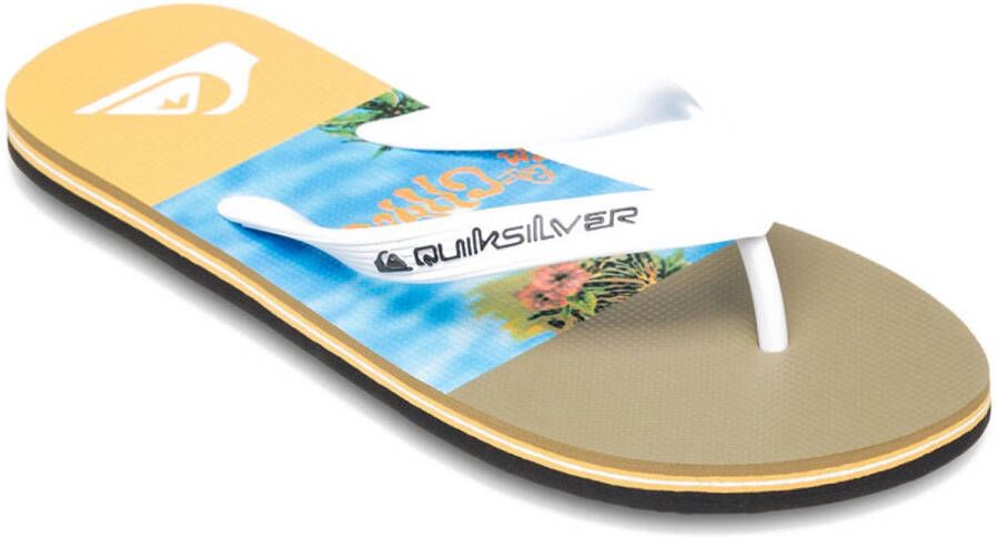 Quiksilver Molokai Stripe 25 Slippers Wit Man
