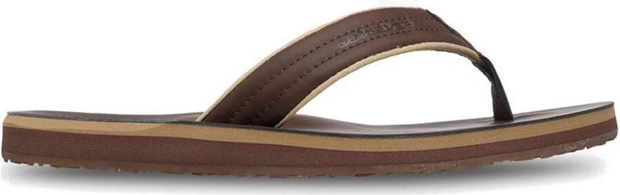 Quiksilver Carver Nubuck 26 Sandalen Bruin Man