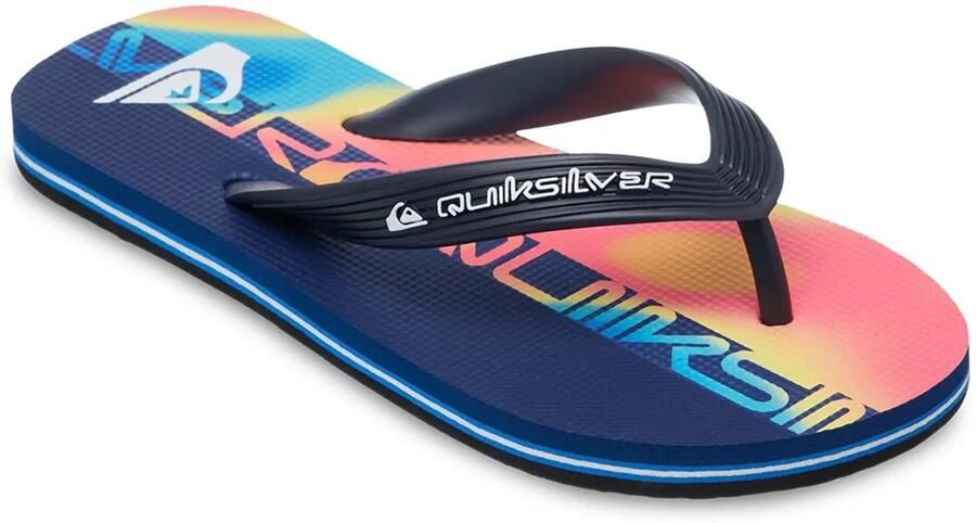 Quiksilver Youth's Molokai Art 26 Sandalen blauw