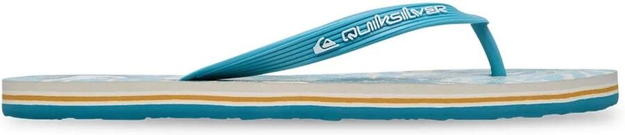 Quiksilver Molokai Art 26 Slippers Blauw Man