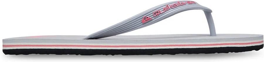 Quiksilver Molokai Core Sandalen Blauw Man