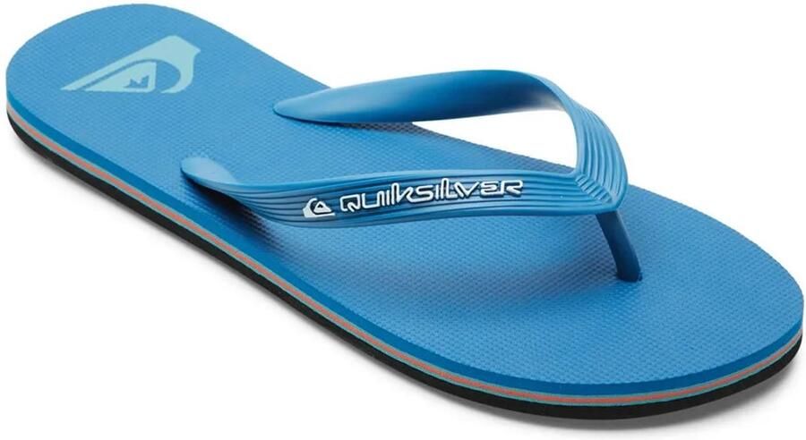 Quiksilver Molokai Core Sandalen Blauw Man