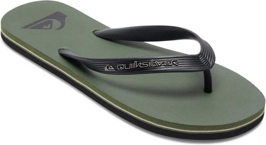 Quiksilver Molokai Core Sandalen Groen Man