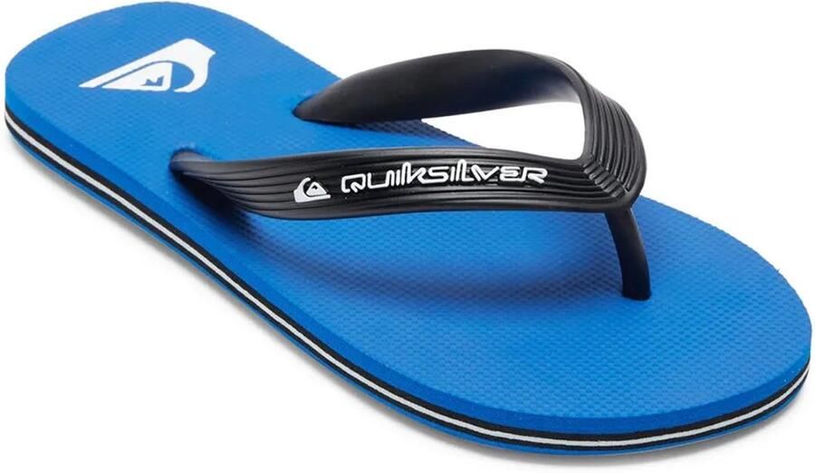 Quiksilver Molokai Core Slippers Blauw