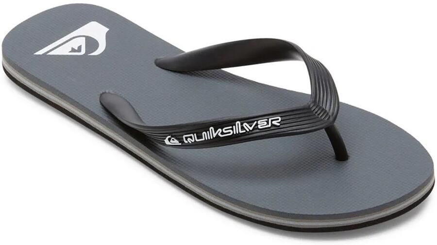 Quiksilver Molokai Core Slippers Grijs Man