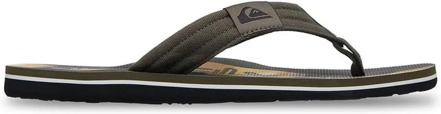 QUIKSILVER Teenslippers 'MOLOKAI LAYBACK 26' groen