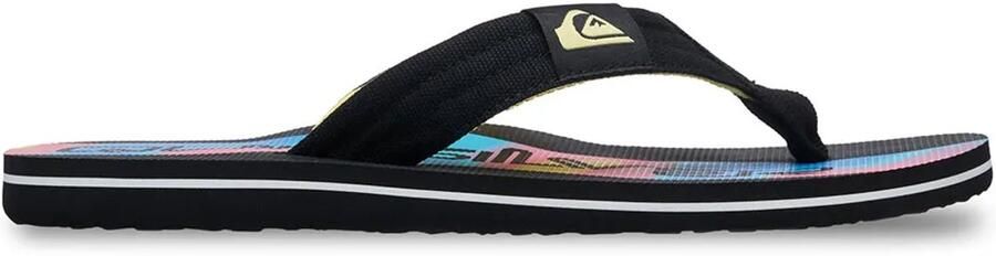 Quiksilver Molokai Layback 26 Slippers Zwart Man