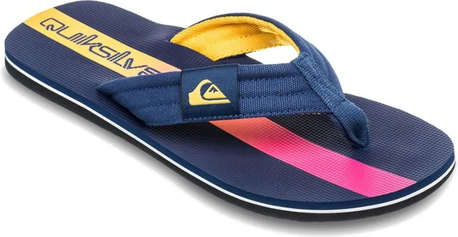 Quiksilver Molokai Layback Ii Slippers Blauw Man