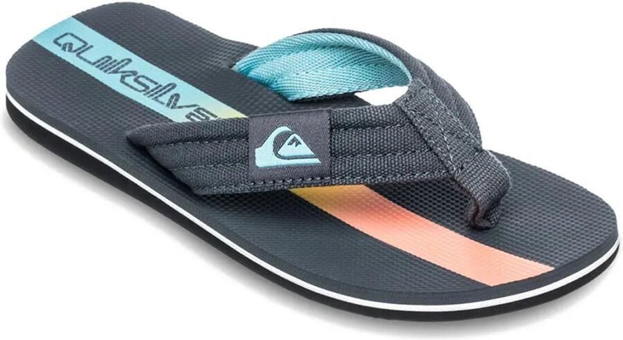 Quiksilver Molokai Layback Ii Slippers Grijs