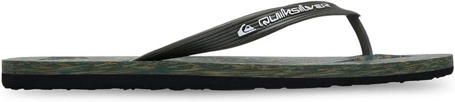 Quiksilver Molokai Recycled Sandalen Groen Man