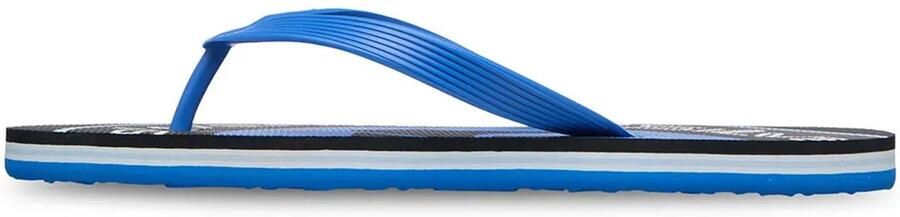 Quiksilver Molokai Screen Slippers Blauw Man