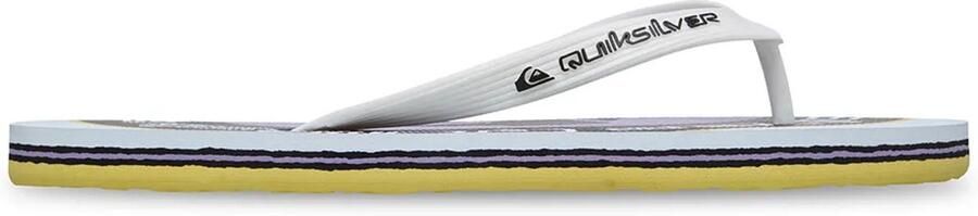 Quiksilver Molokai Screen Slippers Wit Man