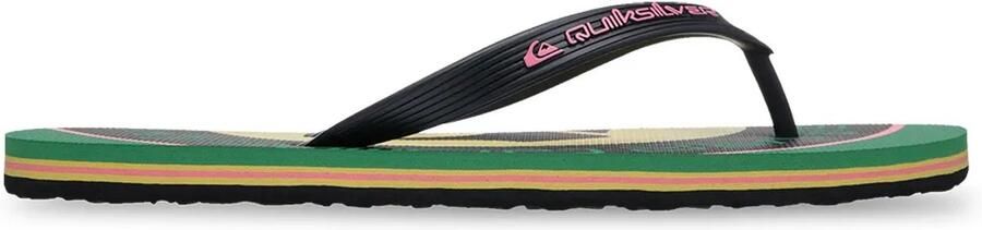 Quiksilver Molokai Screen Slippers Zwart Man